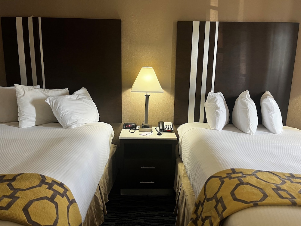 Deluxe Studio Suite, 2 Double Beds, Non Smoking photo 3