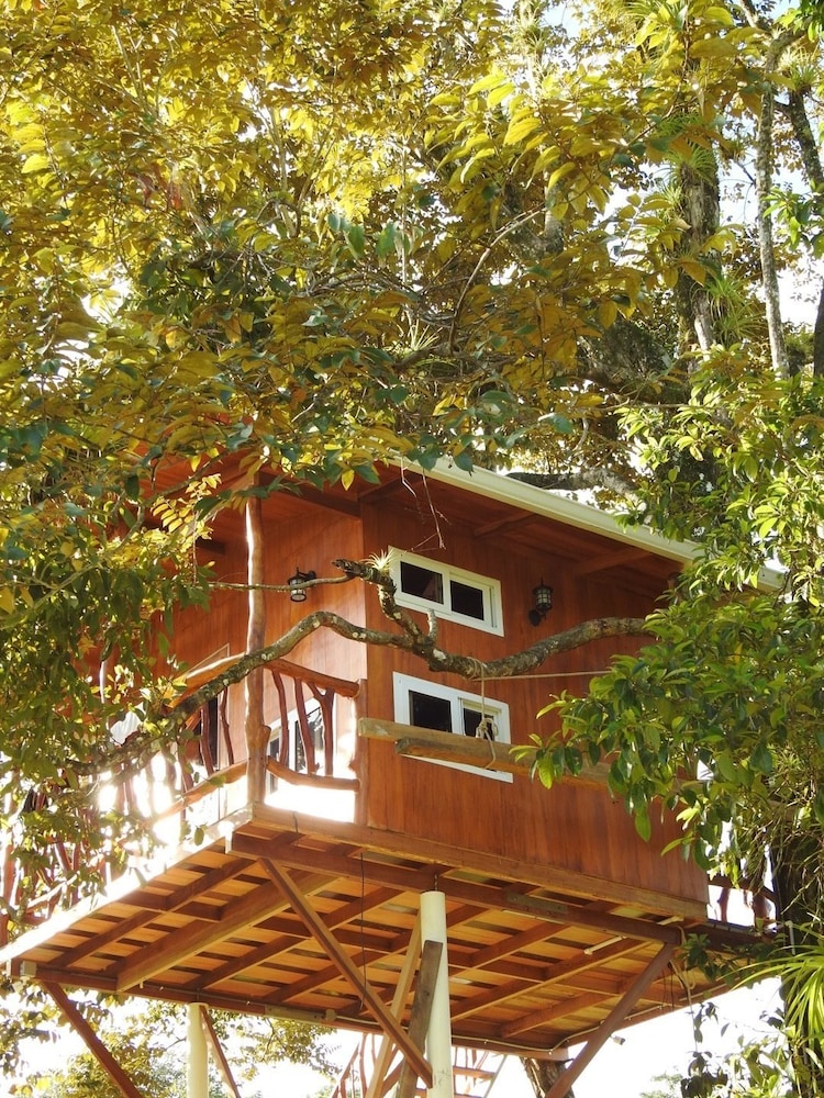 Honeymoon Tree House, 1 Bedroom, Hot Tub, Mountain View photo 1