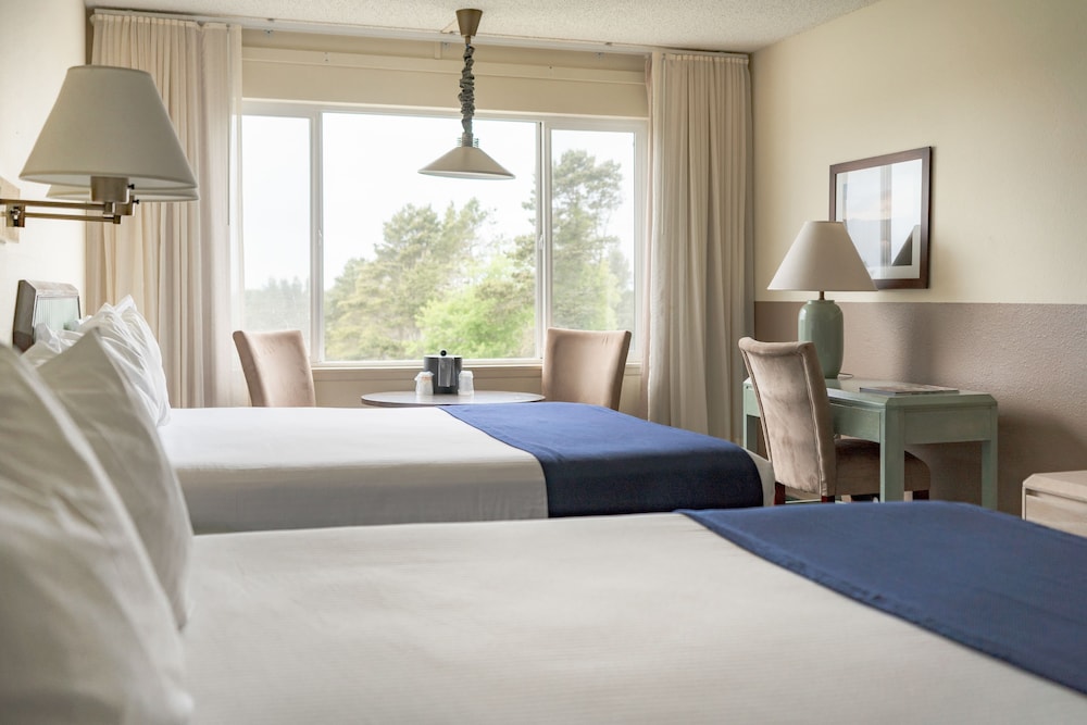Standard Studio, 1 Queen Bed, Kitchenette (2nd floor) photo 1