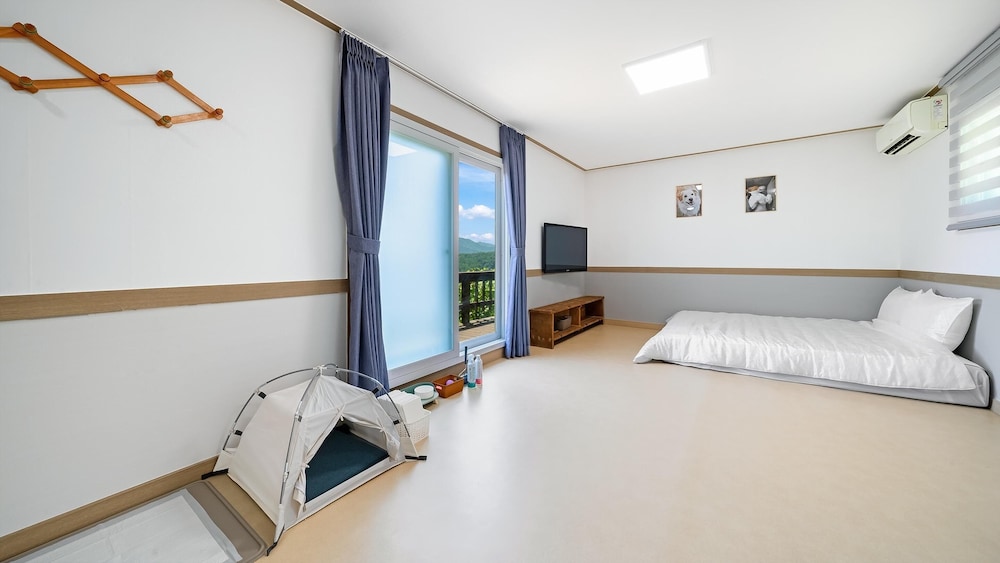 Basic Room, 1 Bedroom (Poodle2) photo 1
