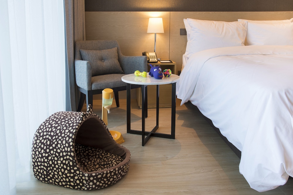 Pet Double Room, No Ocean view photo 3