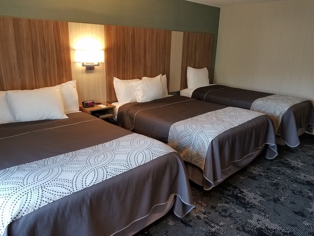 Family Triple Room photo 1