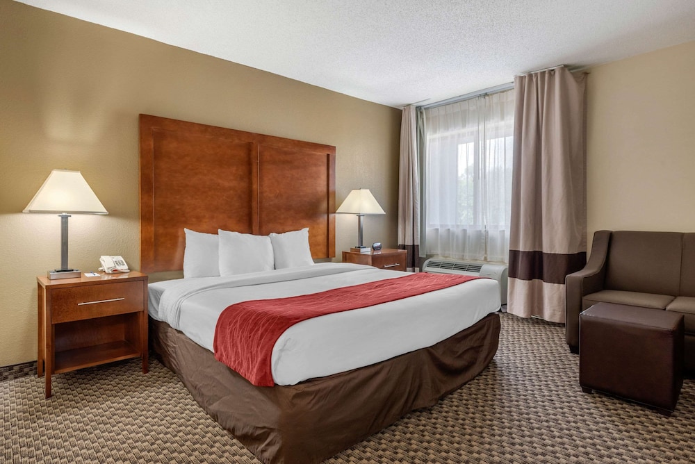 Suite, 1 King Bed, Non Smoking - Photo 5