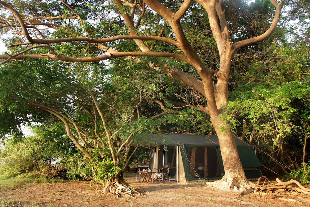 Premium Tent, 4 Bedrooms photo 2