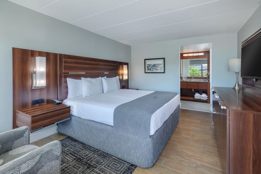 Standard Single Room, 1 King Bed