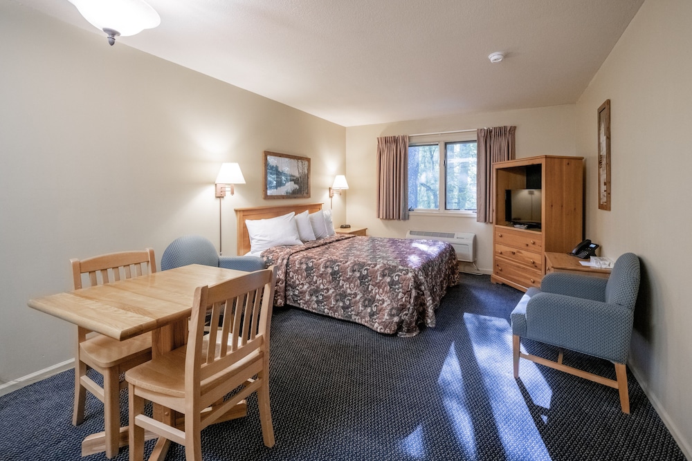 Basic Studio, 1 Queen Bed