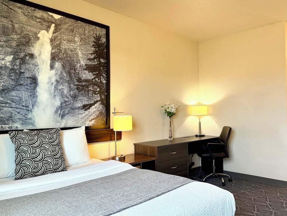 Deluxe Single Room, 1 Queen Bed, Kitchen photo 1