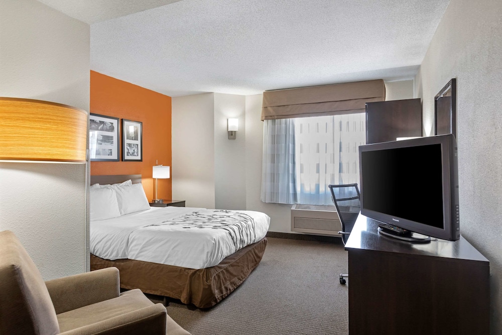 Standard Room, 1 King Bed, Non Smoking - Photo 4
