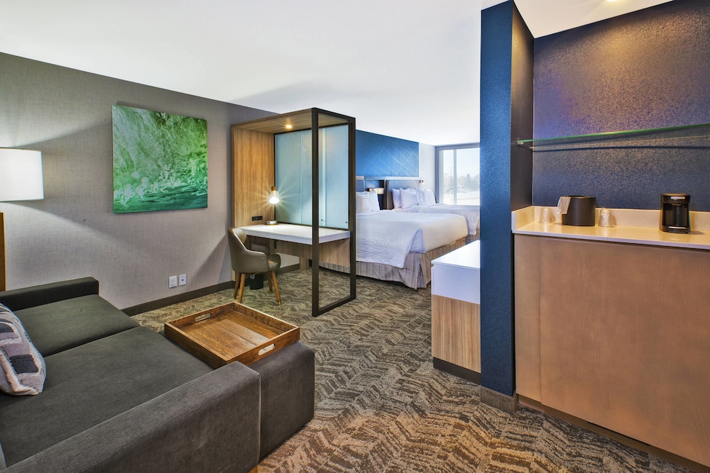 Suite, Multiple Beds photo 2