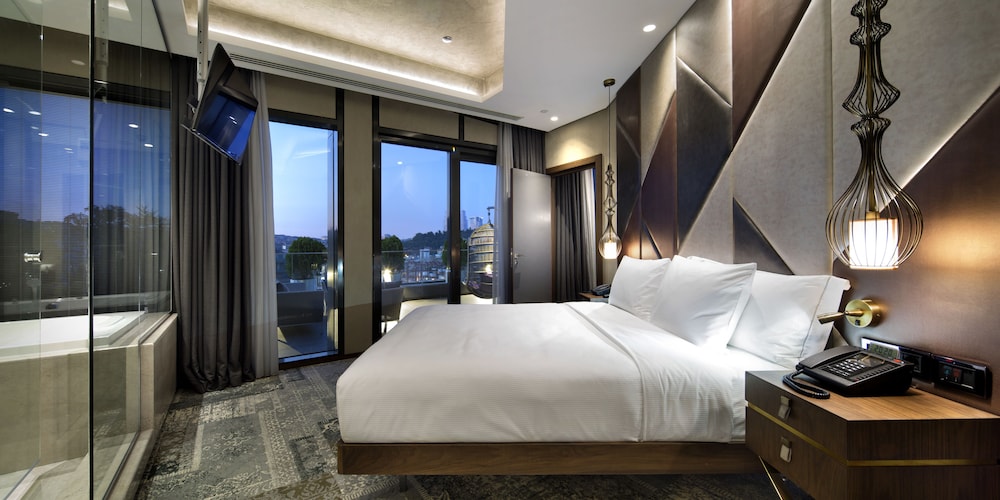 Room, 1 Queen Bed with Sofa bed