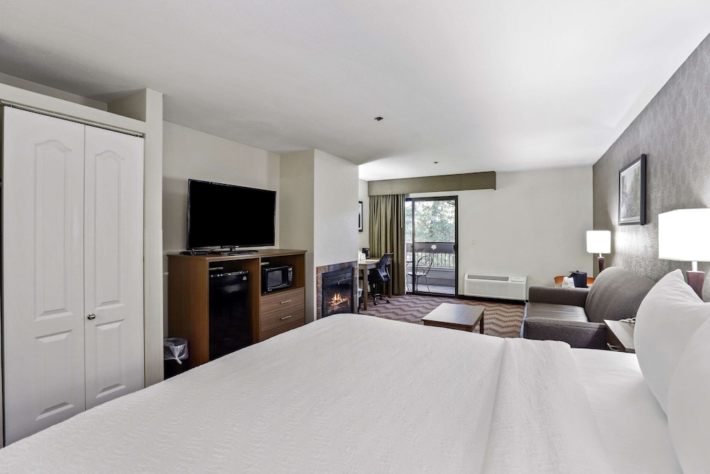 Suite, 1 King Bed, Non Smoking, Fireplace (with Sofabed) - Photo 1