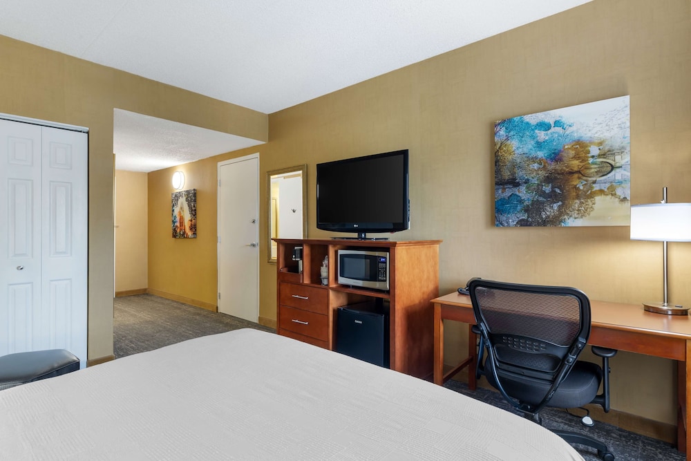 Standard Room, 1 King Bed, Non Smoking, Refrigerator & Microwave - Photo 3