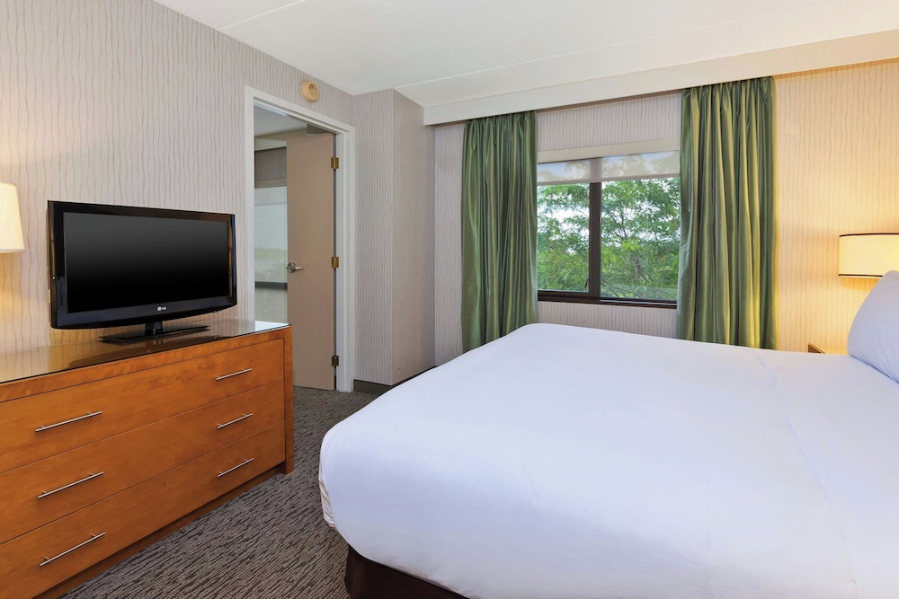 Suite, 1 Bedroom - Photo 4