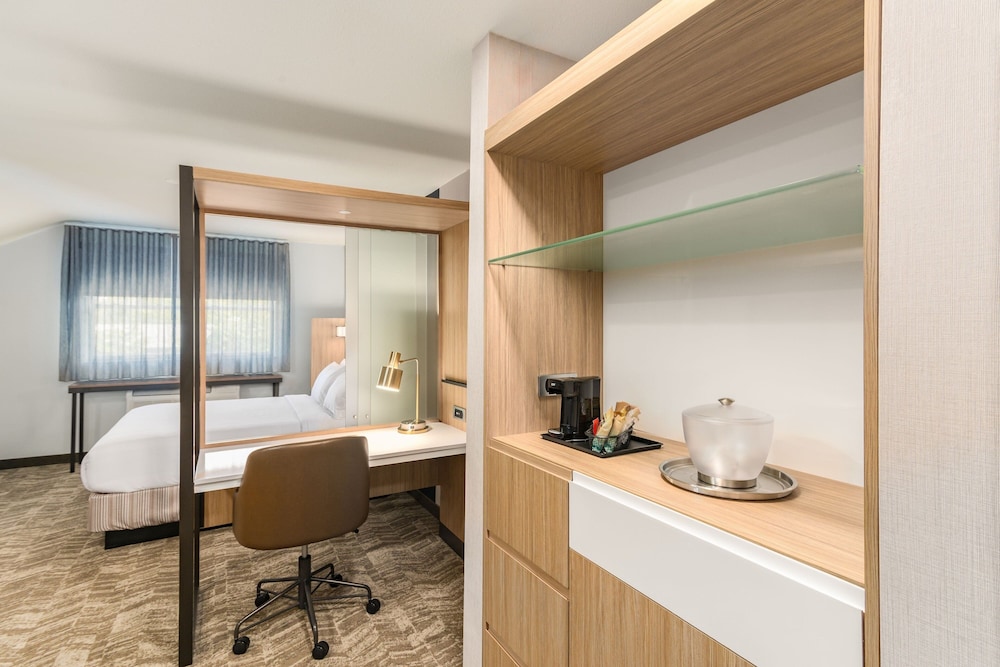 Executive Suite, 1 King Bed - Photo 15