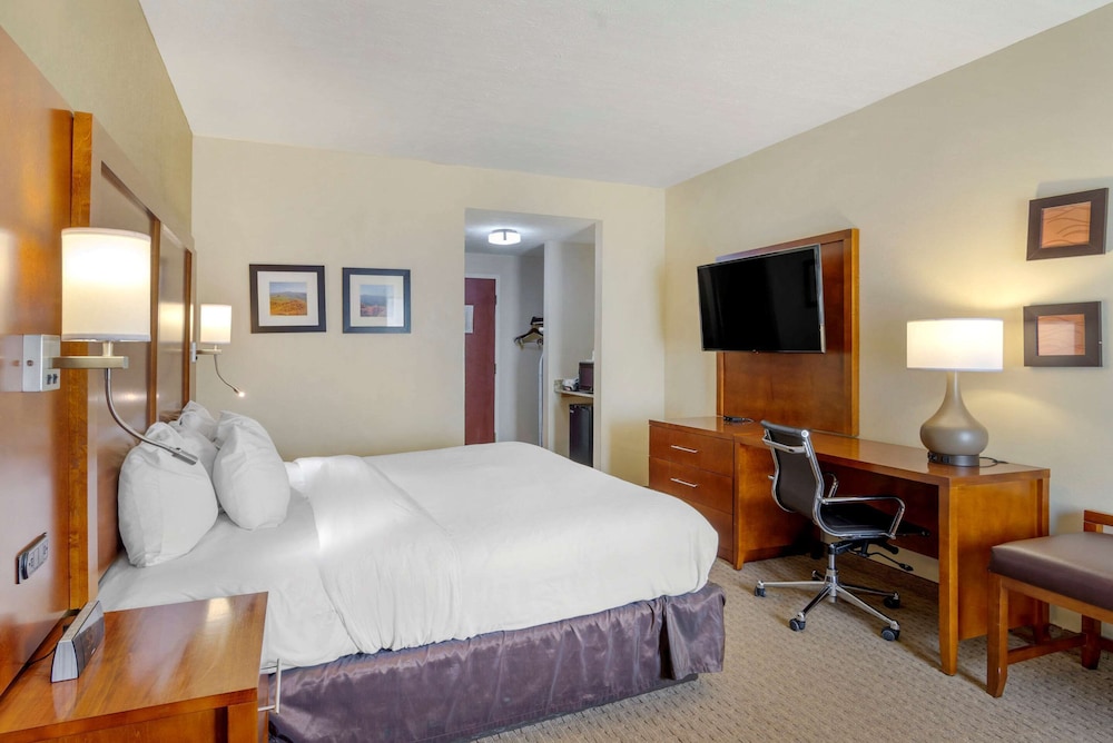Standard Room, 1 King Bed, Non Smoking - Photo 1