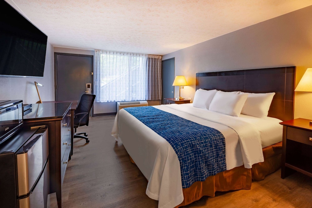 Room, 1 King Bed, Non Smoking - Photo 1
