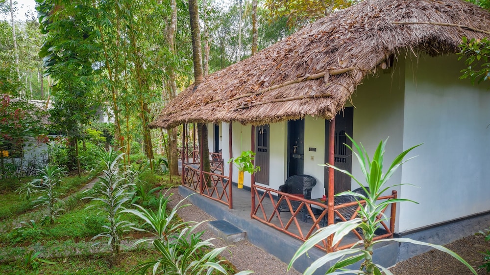 Elegant Cottage - Photo 8
