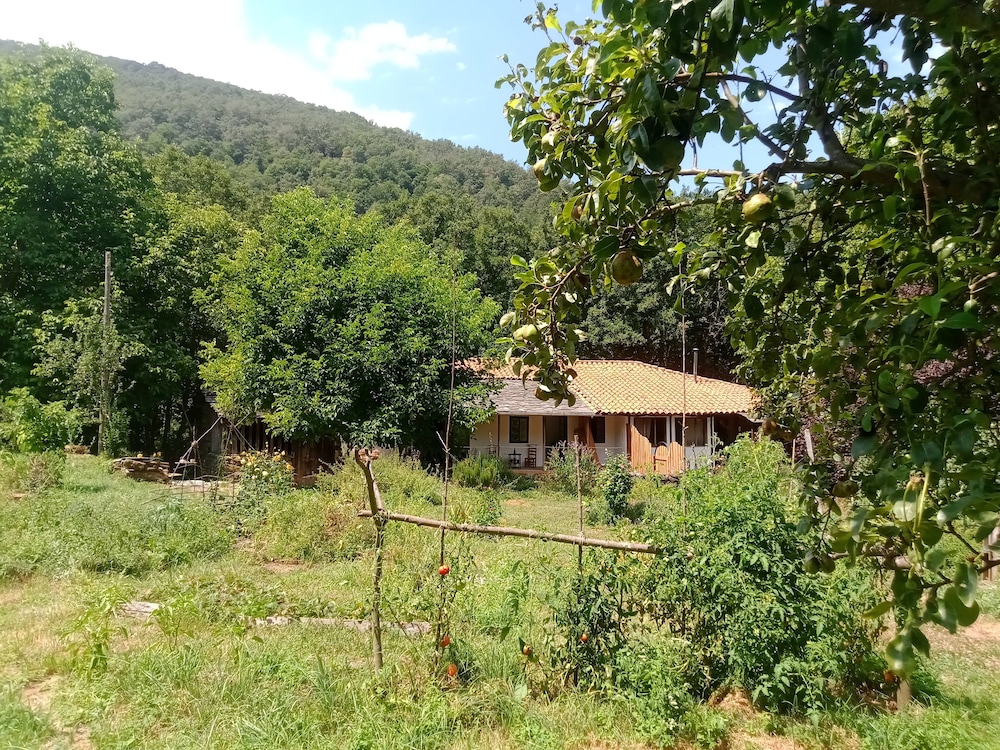 Cabaña