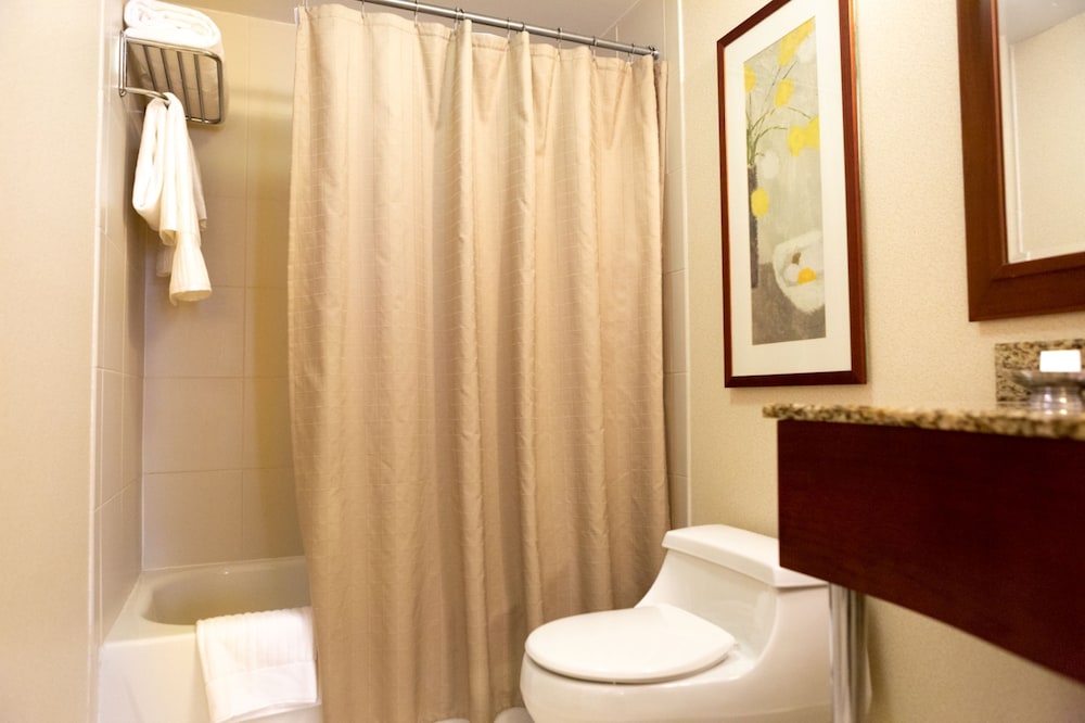 Elite Suite, 1 King Bed, One-bedroom Apartment with Separate but adjoining Living Space and Sofa Bed