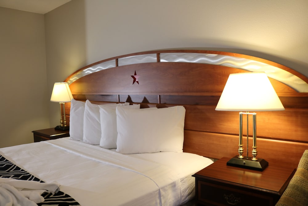 Handicap Room, 1 King Bed, Non Smoking (First Floor) photo 3