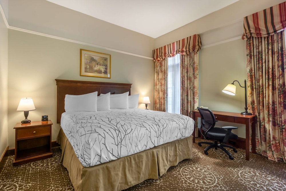 Standard Room, 1 King Bed, Non Smoking, City View - Photo 4