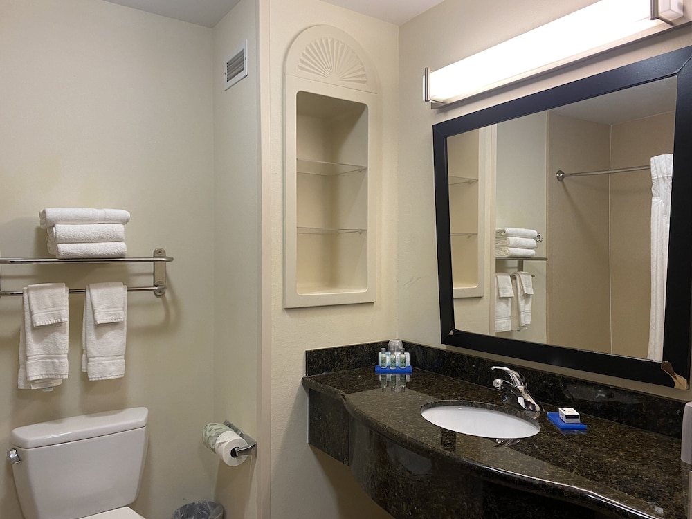 Suite, 1 King Bed with Sofa bed (Wet Bar) - Photo 8