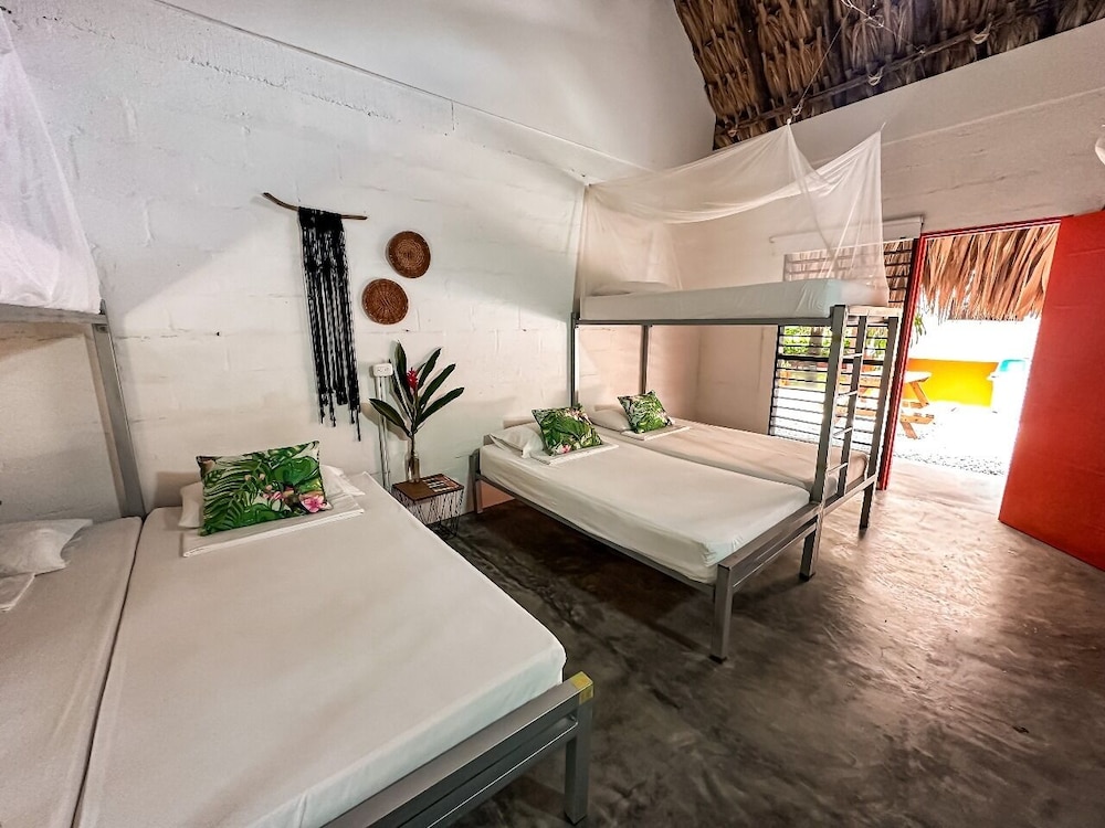 Shared Dormitory photo 1