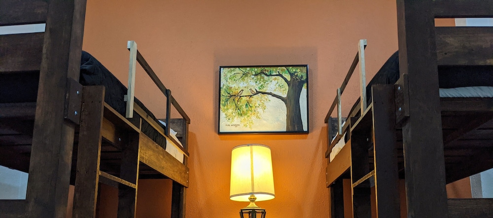 Shared Dormitory photo 1