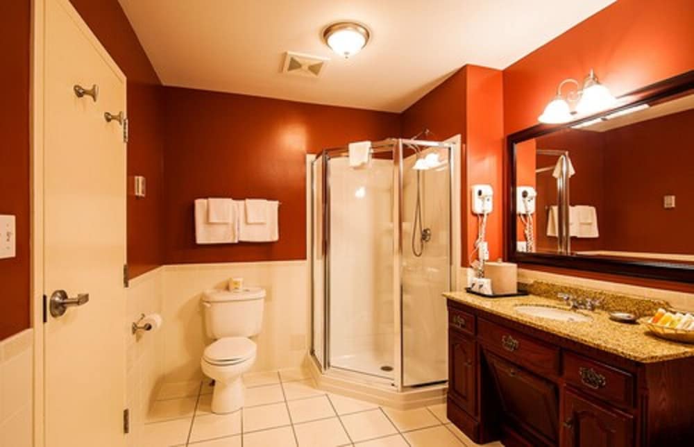 Suite, 1 Bedroom (Annex) photo 3