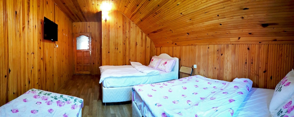 Family Room photo 1