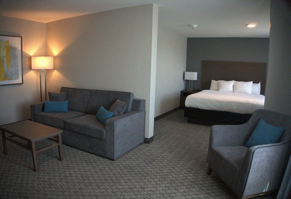 Suite, 1 King Bed (1 Room Suite 1 King Bed Sofa bed Non-) photo 3
