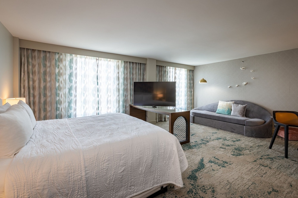 Executive Studio, 1 King Bed with Sofa bed