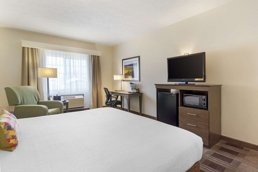 Suite, 1 King Bed, Non Smoking, Kitchen (with Sofabed, Full Kitchen)