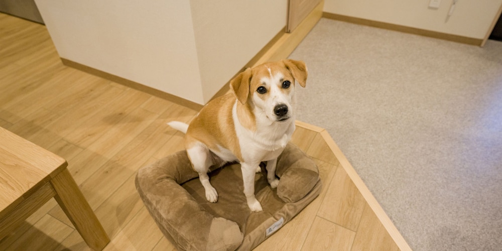 [Dog-friendly] Room for 8 People, Non Smoking - Photo 27