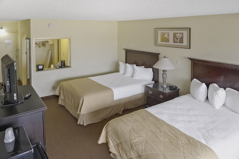 Basic Double Room photo 3