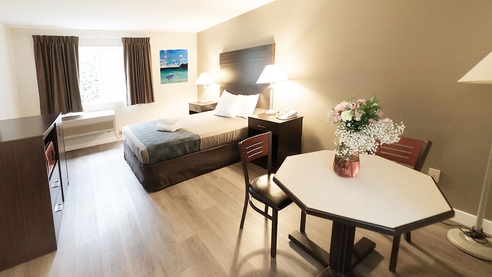 Comfort Single Room photo 3