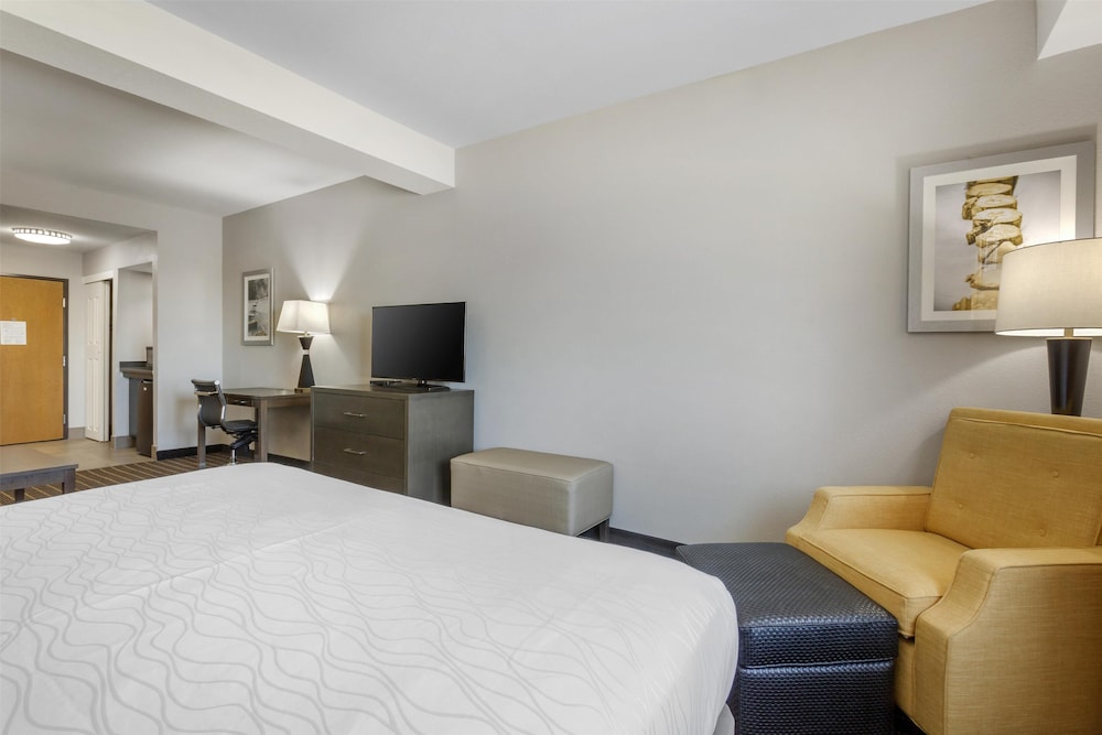 Suite, 1 King Bed, Accessible, Refrigerator & Microwave (with Sofabed) photo 3