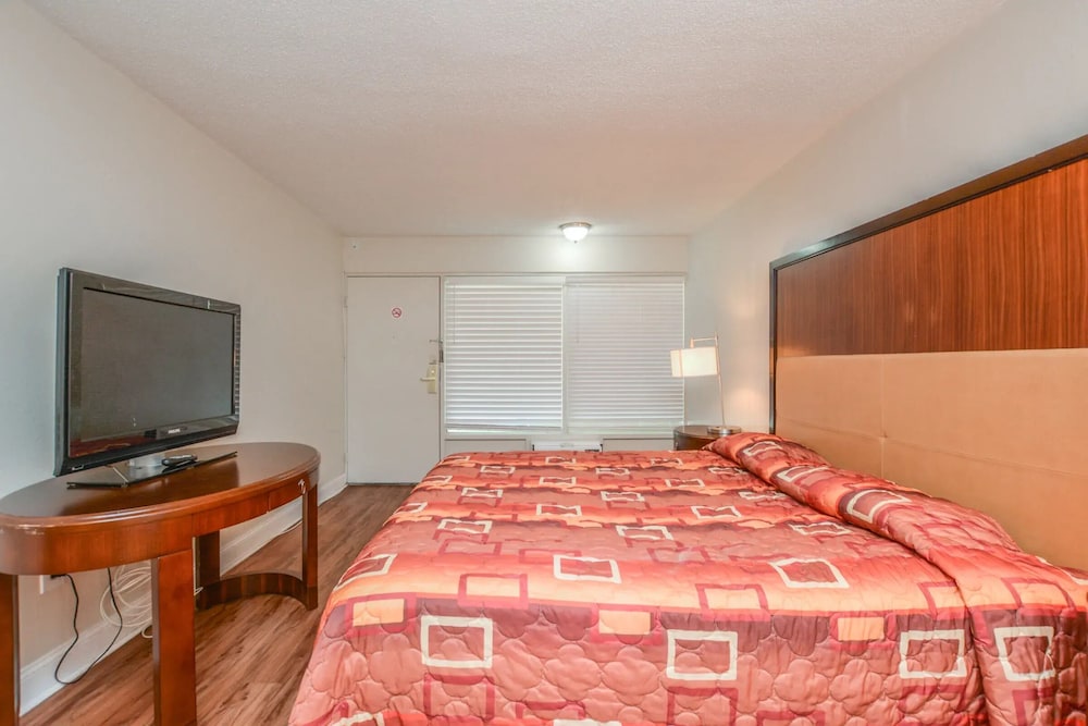 Basic Single Room photo 1