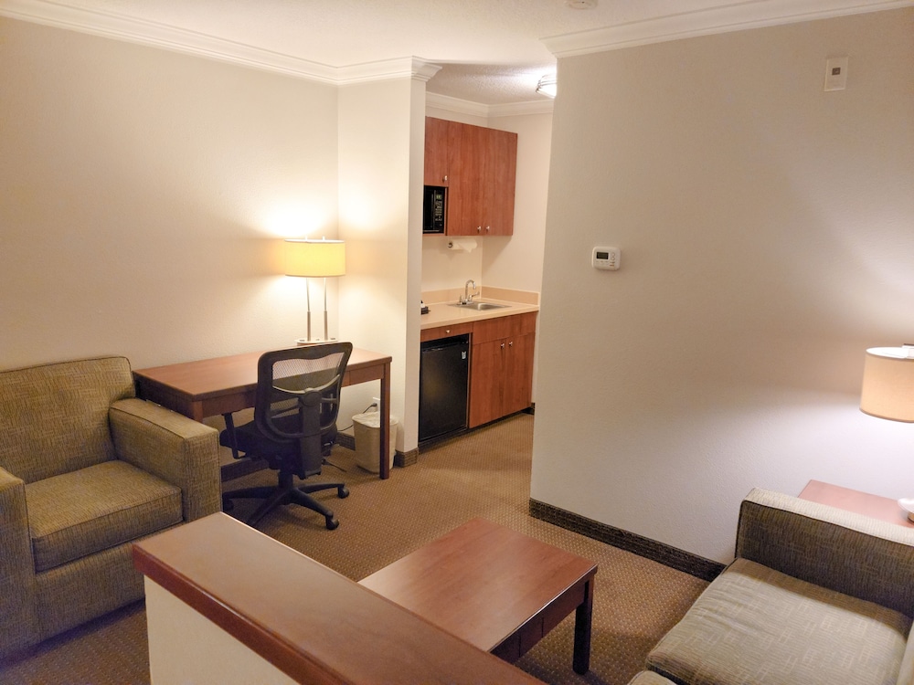 Suite, 1 King Bed (Living Area) - Photo 6