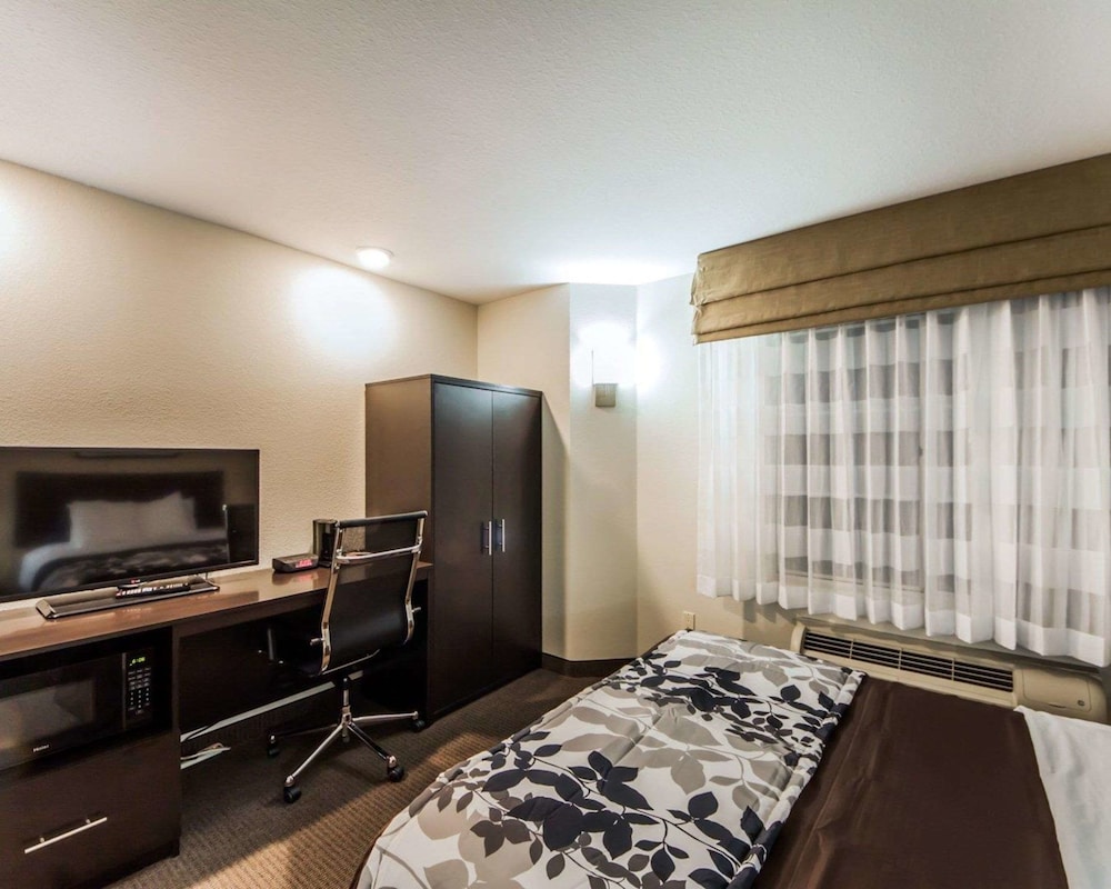 Room, 1 Queen Bed, Accessible, Non Smoking - Photo 1