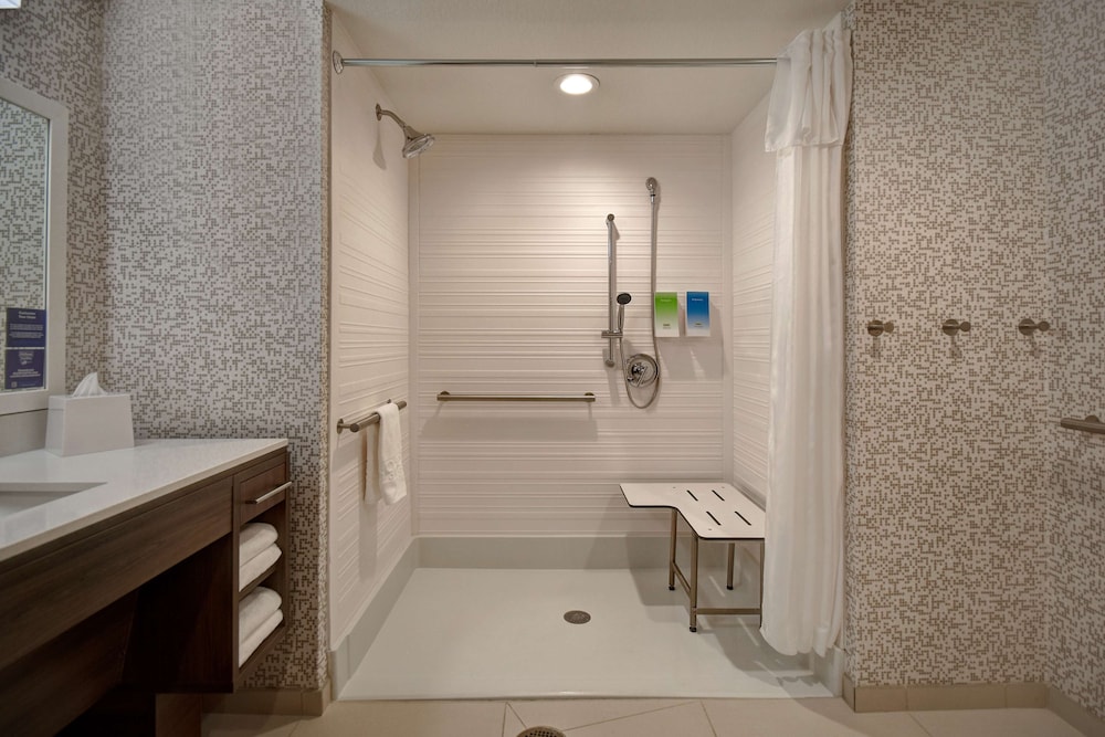 Studio, 1 King Bed, Accessible (Mobility & Hearing, Roll-in Shower)