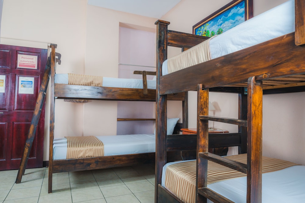 Bed in Shared Female Dormitory photo 1
