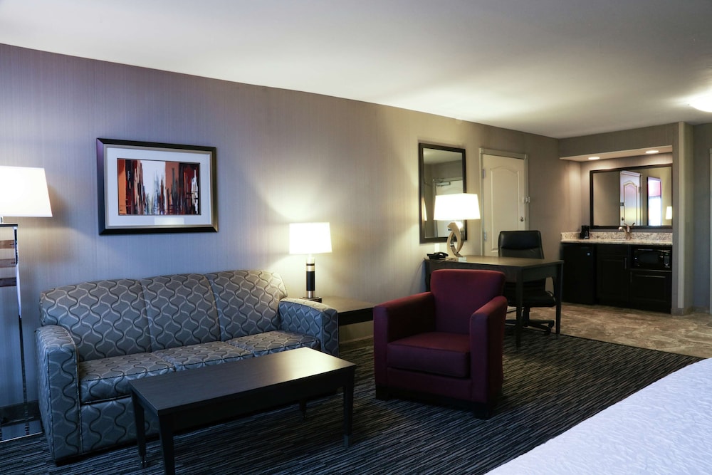 Executive Studio Suite, 1 King Bed with Sofa bed