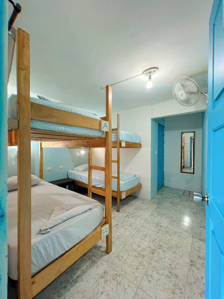 Basic Shared Dormitory, Mixed Dorm, Private Bathroom photo 1