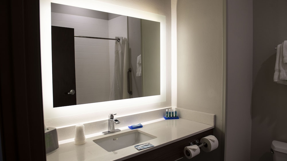 Suite, 1 King Bed, Accessible (Communications Accessible) - Photo 16