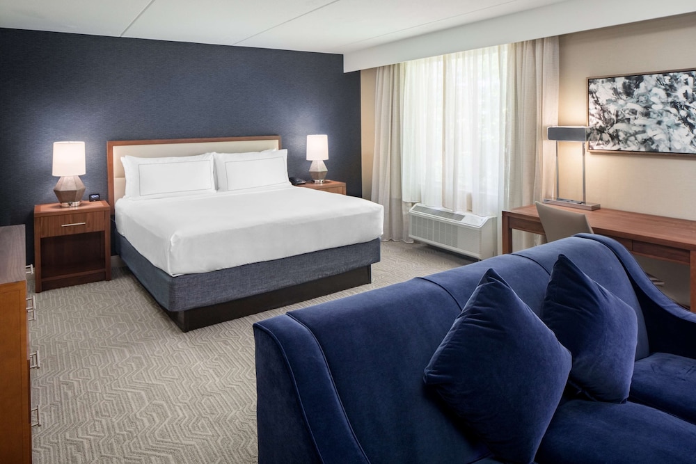 Suite, 1 King Bed - Photo 3