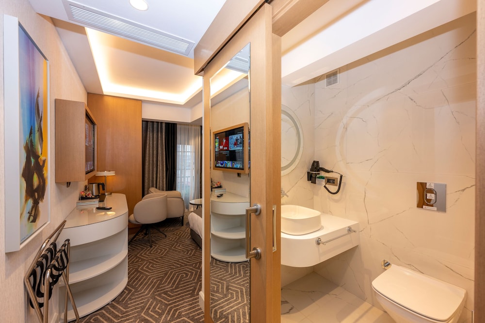 Deluxe Double Room photo 3