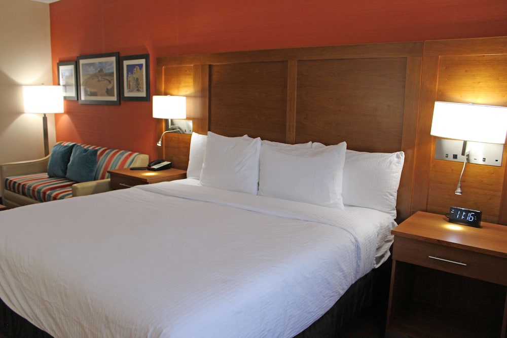 Suite, 1 King Bed, Accessible, Refrigerator & Microwave (with Sofabed) - Photo 2