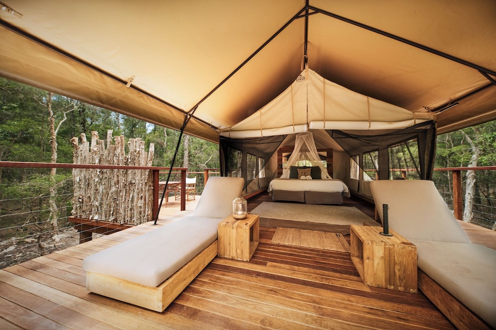 Deluxe Tent, 1 King Bed, Resort View photo 3