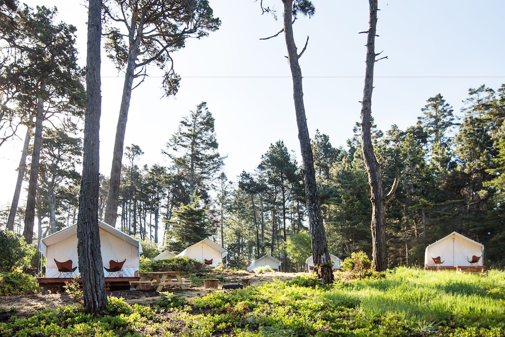 Classic Tent, 1 Queen Bed photo 2